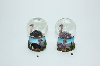 Obrázek z Sněžítko pštros 6,5cm, 2druhy(6) 